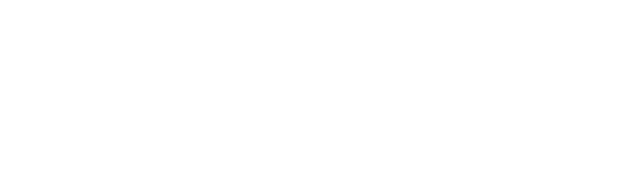 IBS Software