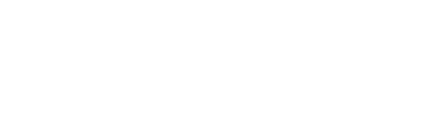 Regiocom SE