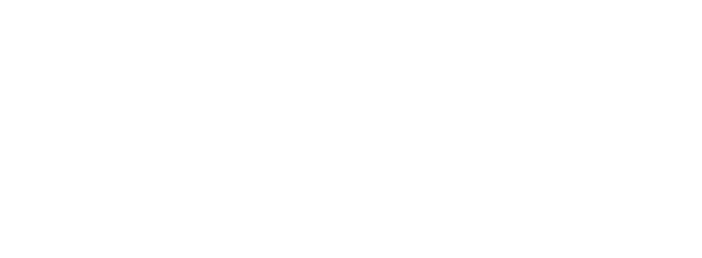 Wynne Systems, Inc.