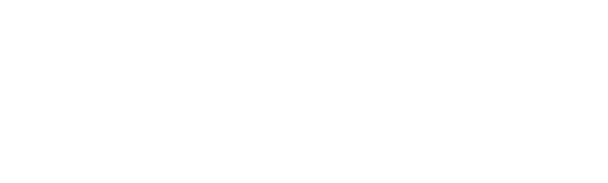 PRAUDIT