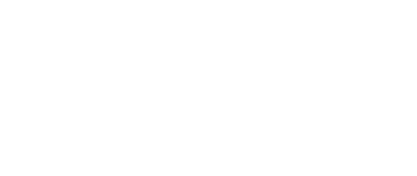 SoftOption