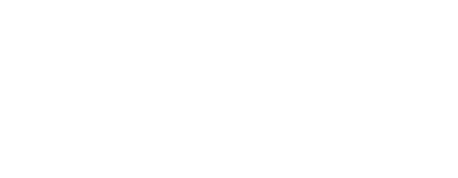 Lone Wolf Technologies