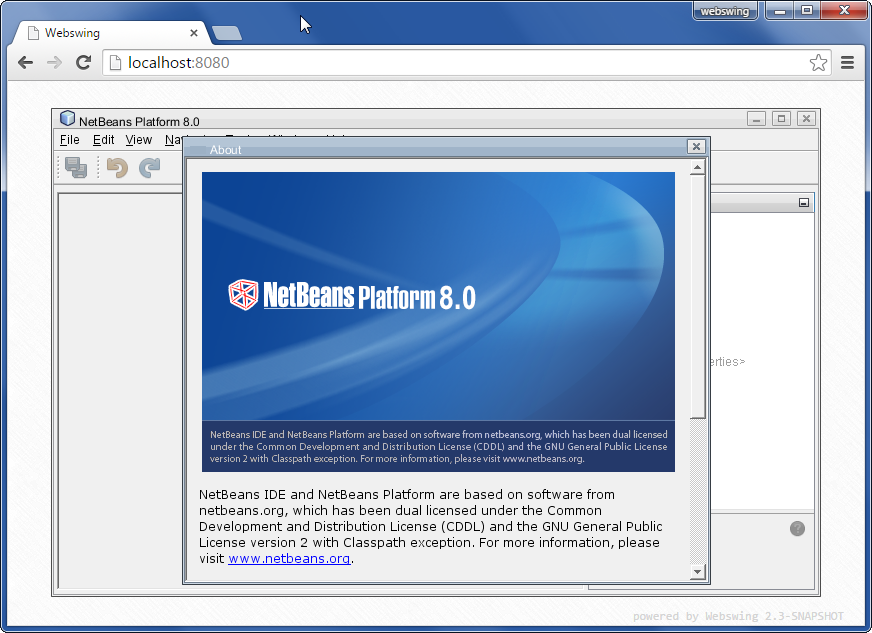 NetBeans platform window
